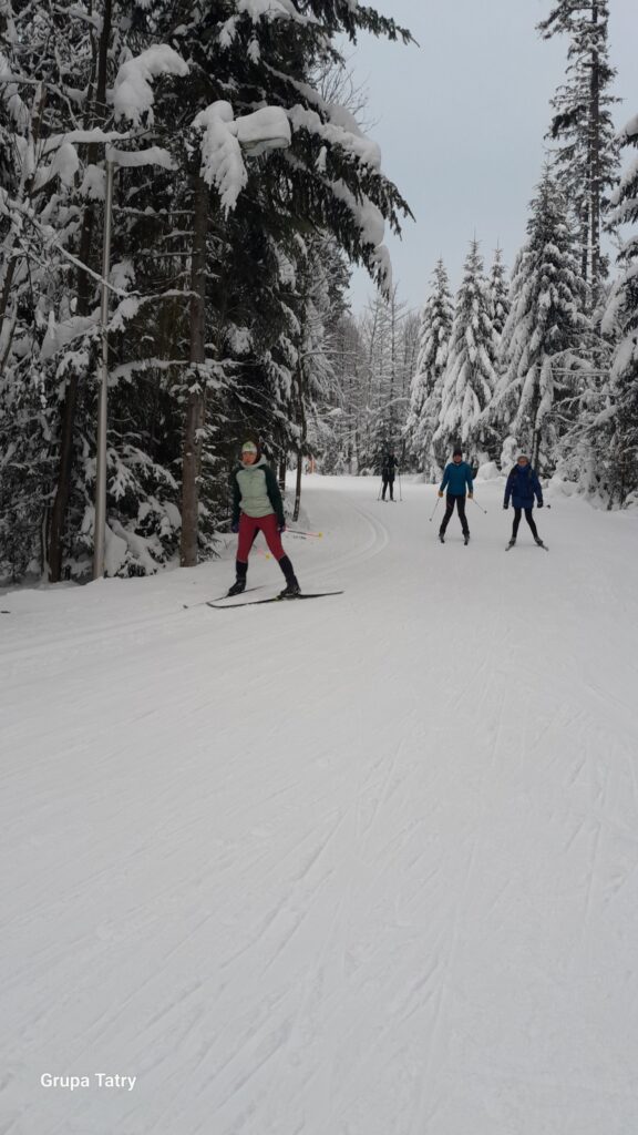 May be an image of 4 people and people skiing